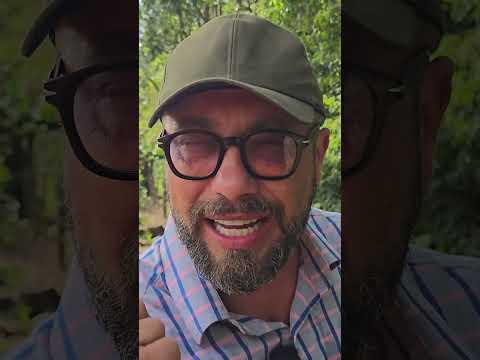 CHÁCARA DO STEFANES CASA FRUTAS ÁGUA R$ 350 MIL WHATS DELE 44 99856-8990