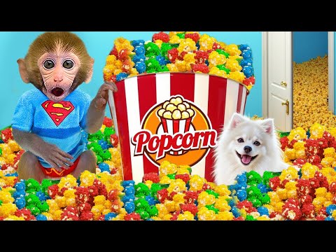 😍Funny Videos and Cutest Babies 🐵Bebé Mono BonBon juega con sus amigos y hace helado arcoíris.