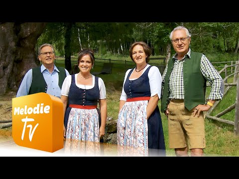 Kärntner Viergesang - Dreiländerschnasn (Offizielles Musikvideo)