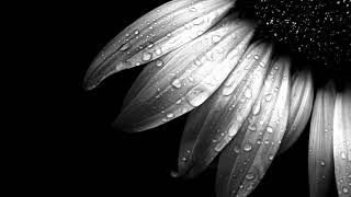 Jagged Edge-Slow Motion