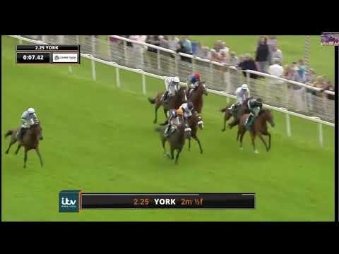 Race (2) 14:25 York 25 Aug 2023