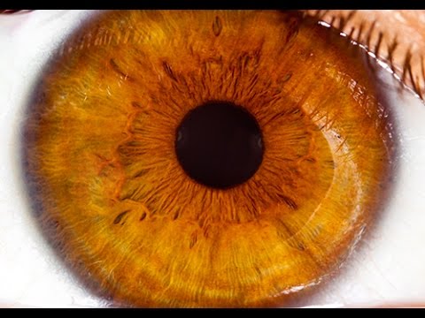 Lhypertension, les symptômes ventriculaire gauche Comment traiter lhypertension intracrânienne chez un enfant
