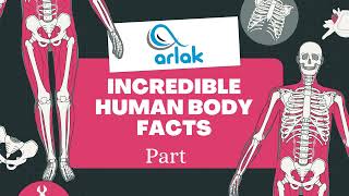 Incredible Human Body Facts part 2