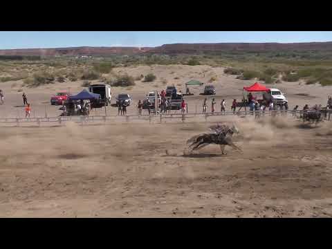 LAGUITO Club Hipico Añelo, Domingo 12 de enero 2025