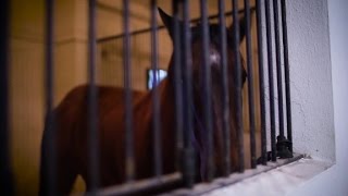 Your Texas luxury vacation: Horses, guns and five-star di...