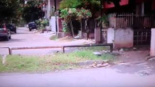 PULOMAS KNOCKOUT - Fight Scene