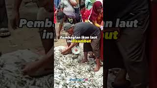 Download lagu GRATIS! BEGINI ANTUSIAS WARGA BENGKULU DAPAT RIBUAN IKAN DARI NELAYAN mp3