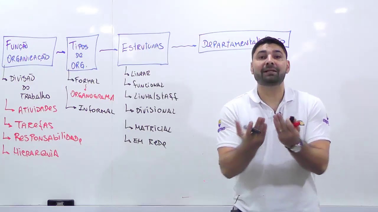 função organização - ESTRUTURA ORGANIZACIONAL