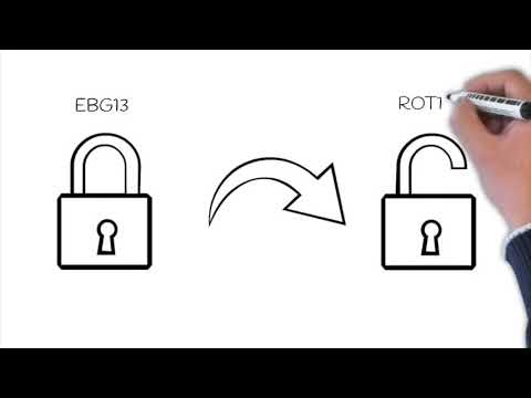 DFIR in 120 seconds - Userassist