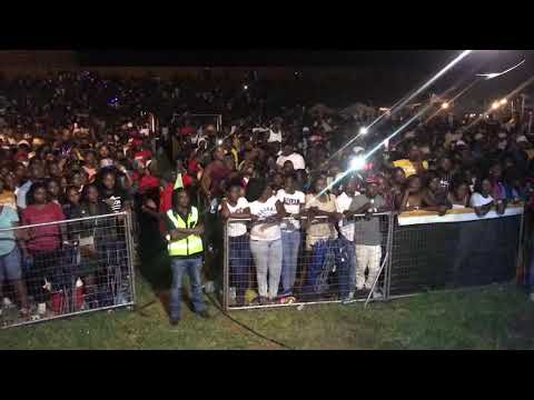 Biodizzy Perfomance BGT 2019