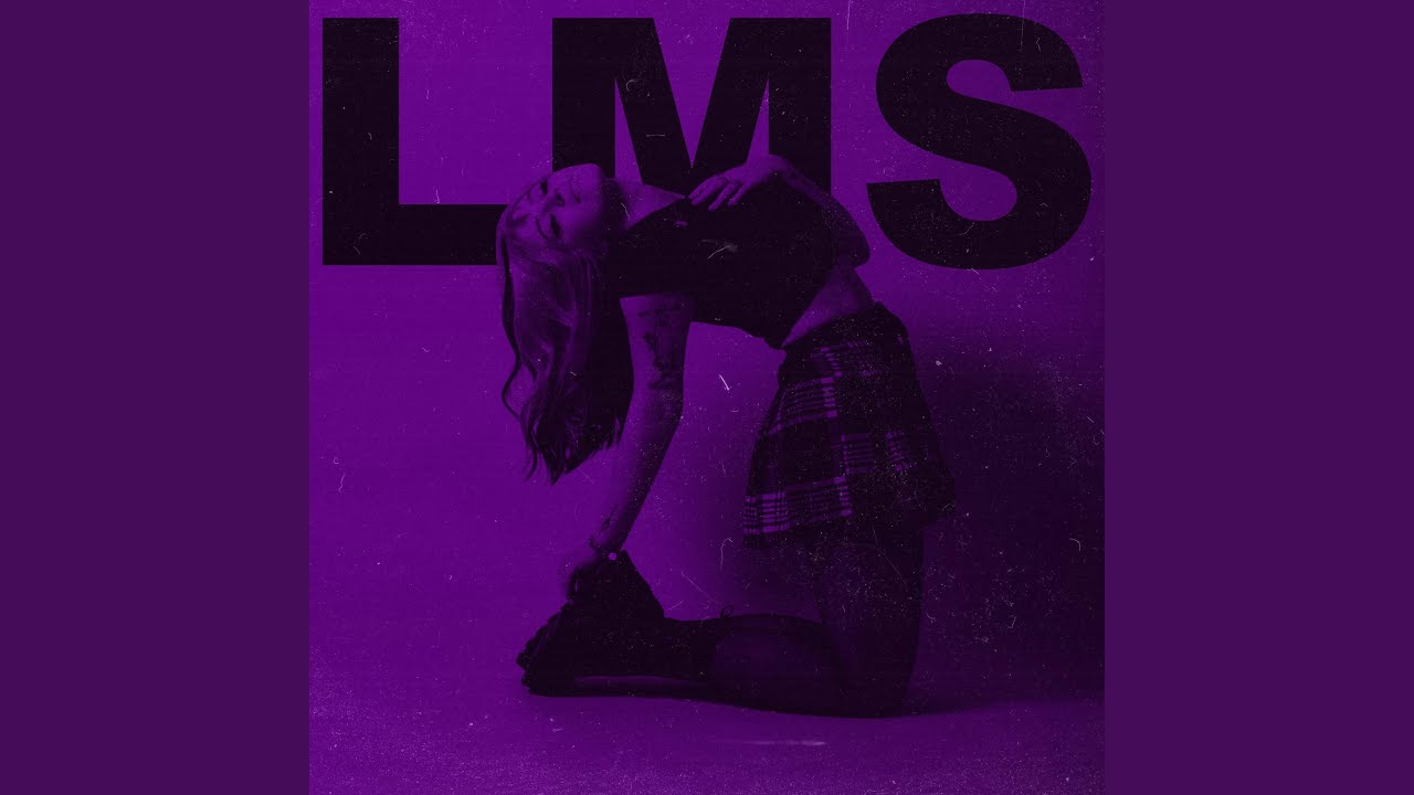 lms (demo)