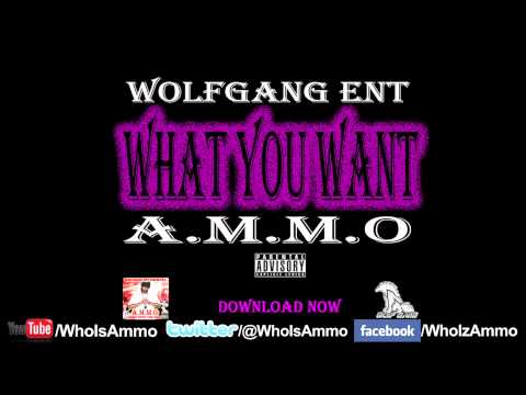KING AMMO - What You Want (Audio)  WOLFGANG ENT