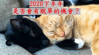 [情報] 于玥命理/新月許願:取悅內在小孩