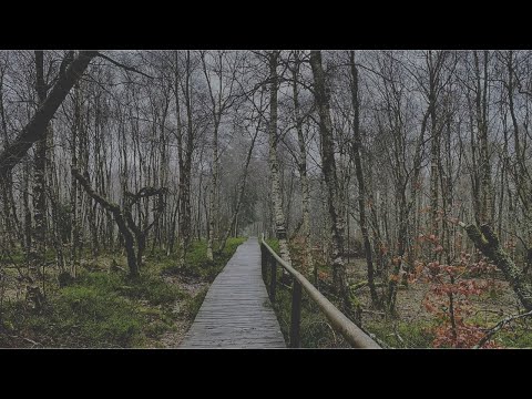 🥾 Rotes Moor (Rhön)