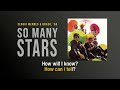 So Many Stars | Sergio Mendes and Brasil '66 | Song and Lyrics