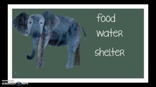 Something is Missing: Animal Survival Needs