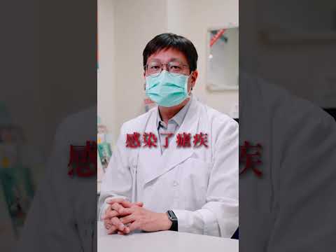 瘧疾防治 - 要來看我 先看旅遊醫學門診_替代文字