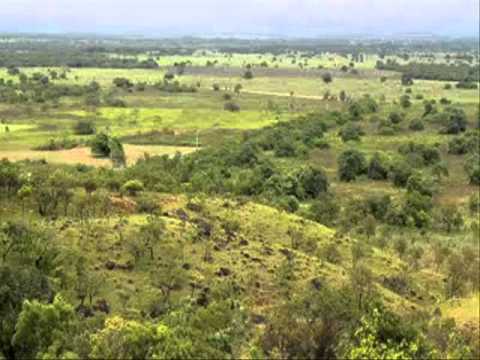 ELISA GUERRERO AMNESICA