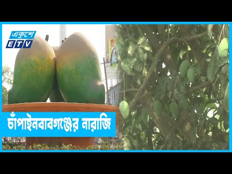 কে পাবে ফজলি আমের জিআই স্বীকৃতি?