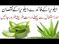 Aloe Vera Ke Nuksan Aloe Vera Ke Fayde Benefits Of Using Aloe Vera