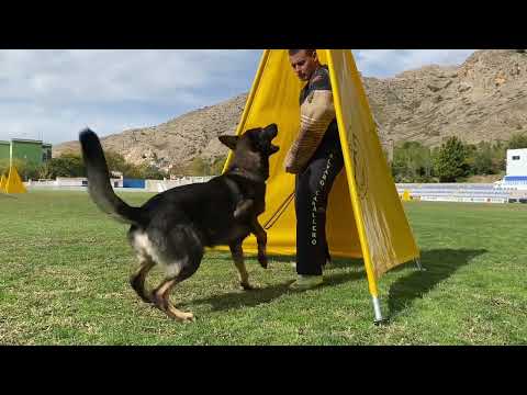 Wiper Mineo y Álvaro Caballero
