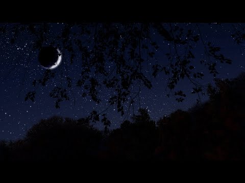 Breezy Autumn Night | Binaural Nighttime Fall Ambience | 10 Hours | Nature Sleep Sounds