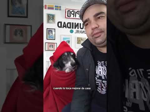 Donaremos 500 kg de racion a los perros abandonados del barrio KENNEDY en Maldonado Uruguay ❤️🐾