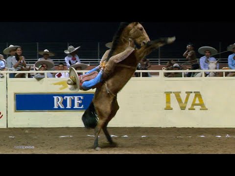 REPAIR MARES - La Simona