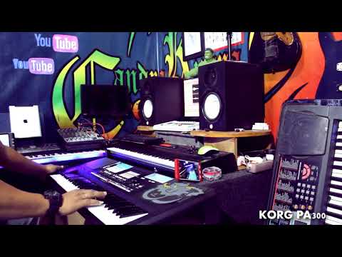 STYLE KORG PA300 DATA SOUND SAMPLING