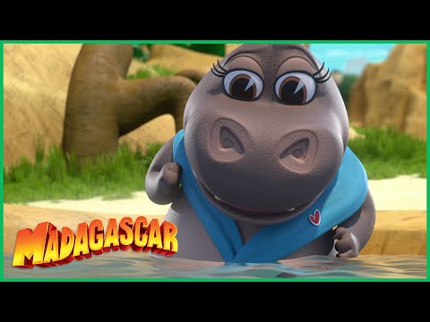 Capa de Madagascar | A Jacuzzi da Glória | Desenhos Animados em Português