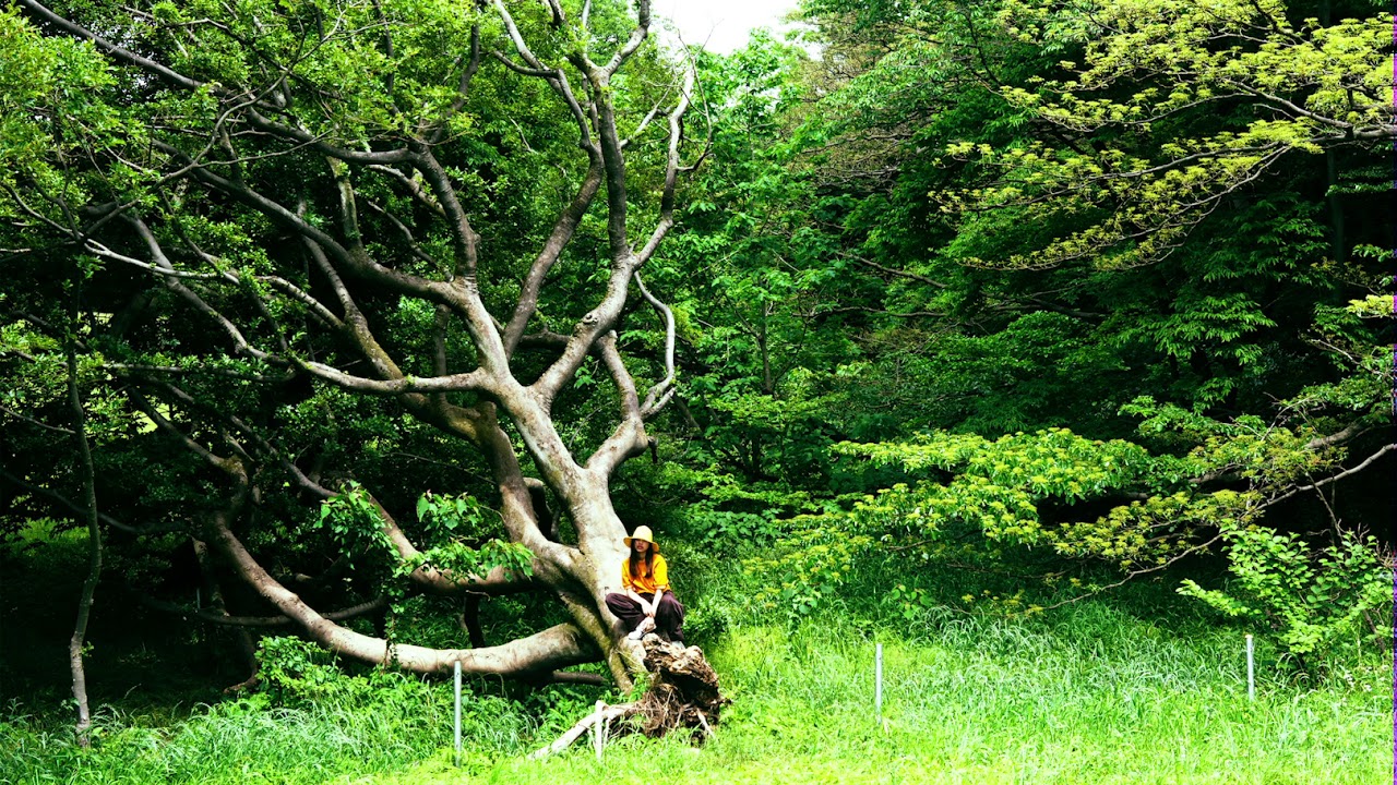 Nameless / Friday Night Plans