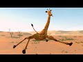CGI Animated Short Film: 'Tall Tails' | Funny Giraffe Animation