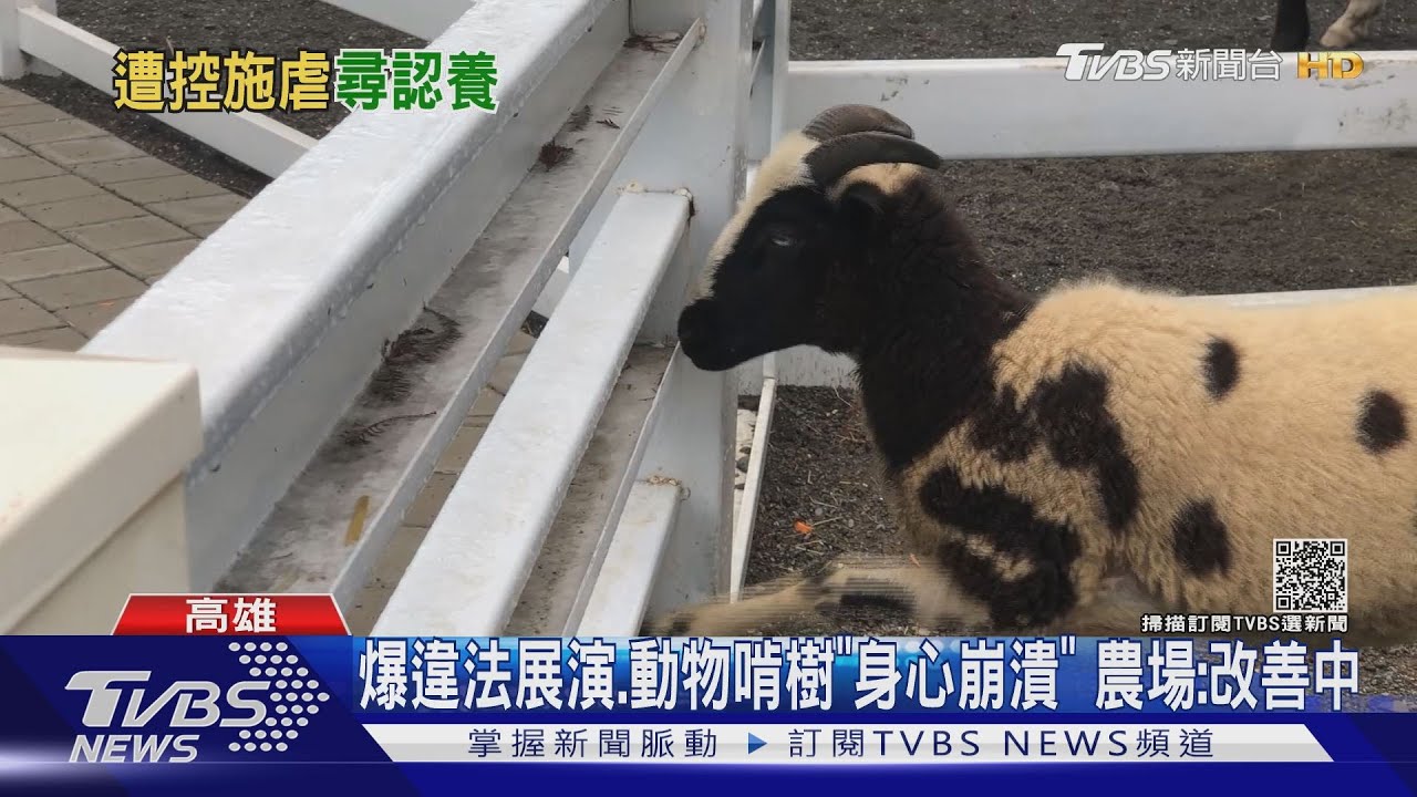 爆違法展演、動物啃樹「身心崩潰」　農場：改善中