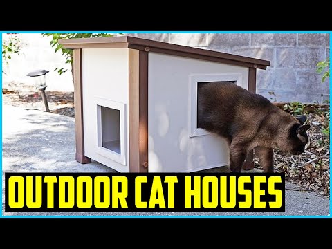 Top 5 Best Outdoor Cat Houses in 2020 – Reviews