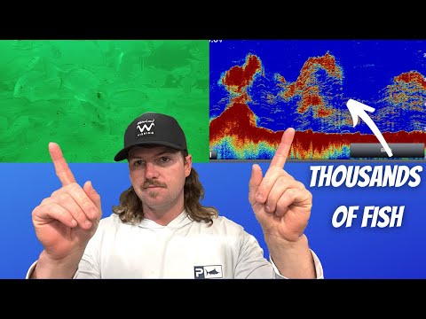 I Dropped My GoPro 100ft Down Offshore And Saw This... | How I Target And Catch Vermillion Snapper