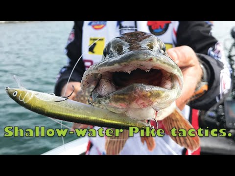 Csf 33 06 Pike Shallow-water action & tips.
