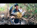 Biggest Mud Crab Ever Caught In Australia