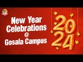 New Year Celebrations 2024 at Gosala Campus || LIVE || @srichaitanyagosala