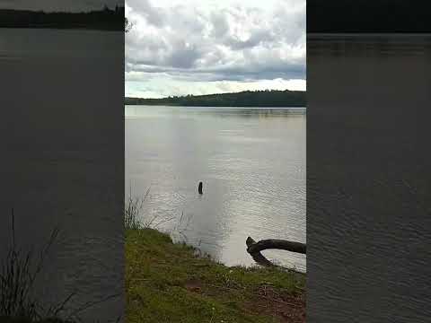 4 boca santo pipo misiones hermoso