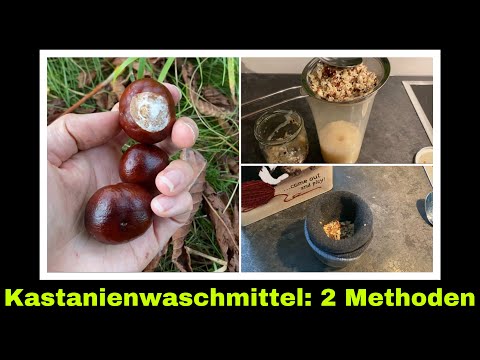 Kastanien Waschmittel haltbar machen | Waschen mit natürlichen Seifenstoffen