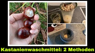 Kastanien Waschmittel haltbar machen | Waschen mit natürlichen Seifenstoffen