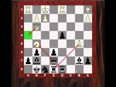 Chess Strategy : Evolution of Style #104.2 - Max Euwe's style with the black pieces in 1928