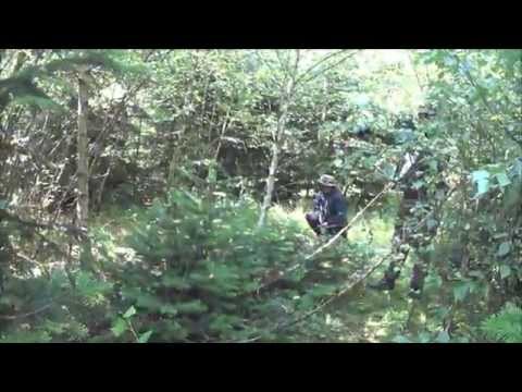 Dalbybanan 18/7-15 The Road (APS ASR 115)