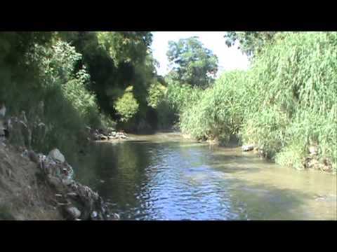 Flor del Cabriales - Benito Romero