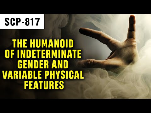 The Humanoid of Indeterminate Gender and Variable Physical Features | SCP-817