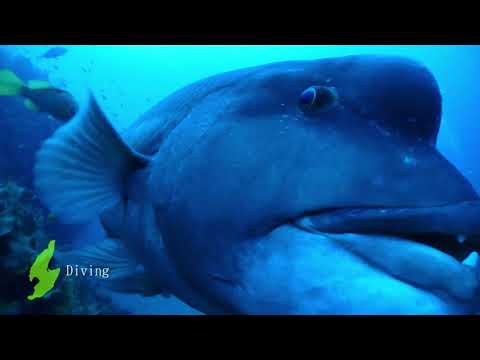 【佐渡島】紹介動画2 Introduction of SADO ISLAND 2