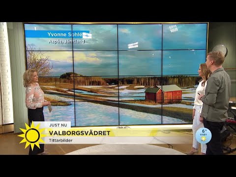 Valborgsvädret - Här blir det försommartemperaturer i veckan - Nyhetsmorgon (TV4)