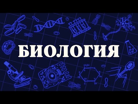 ВСЯ биология за 20 МИНУТ