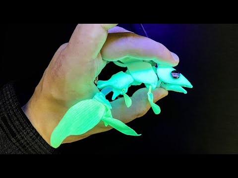 TINY Glowing fish!