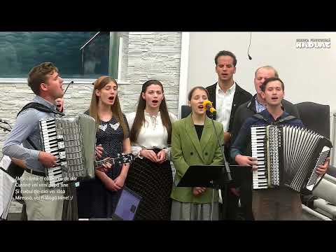 Frații Turanschi - Porumbito dintre stanci